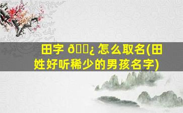 田字 🌿 怎么取名(田姓好听稀少的男孩名字)